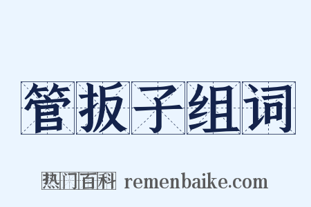 管扳子组词是什么意思的图片
